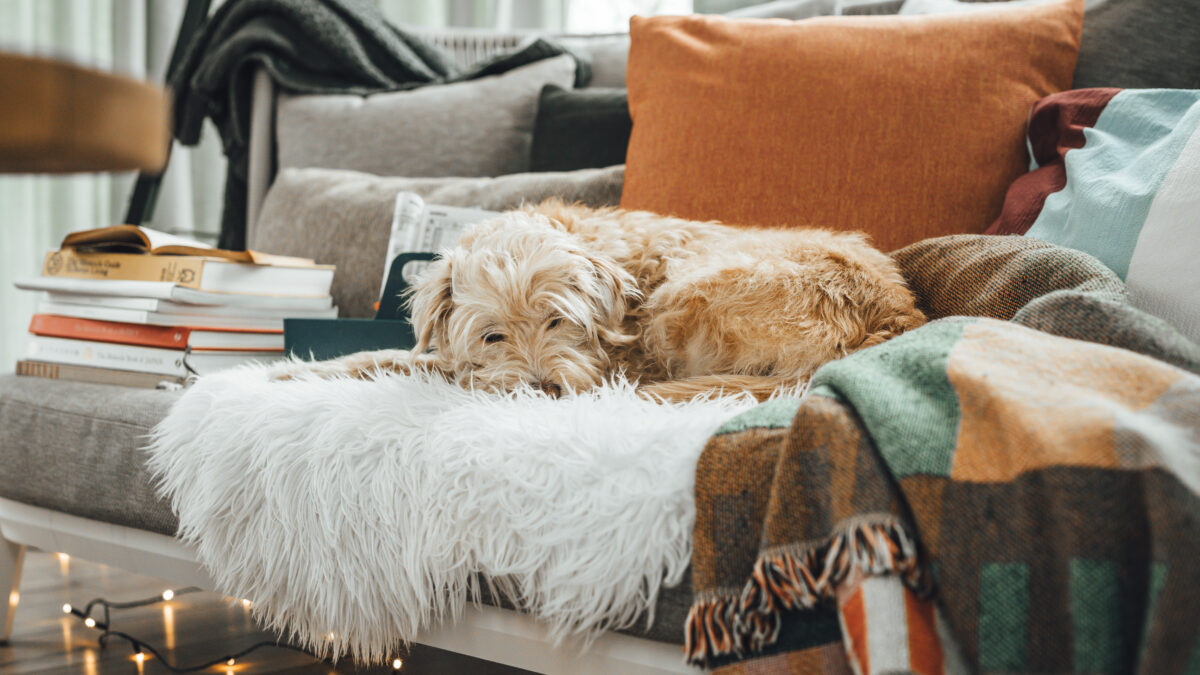 Pergolaterasz ősszel - meleg textilek kültéri bútoron